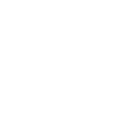 language globe icon white